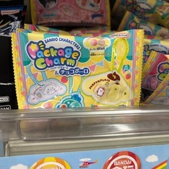 サンリオパッケージチャーム
の画像