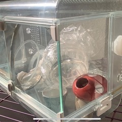 ハムスター　　飼育セットの画像