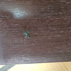 テレビ台の画像