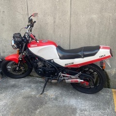 RZ250RとCBR250RRのセット売り！　安く売ります！の画像