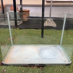 60センチ水槽の画像
