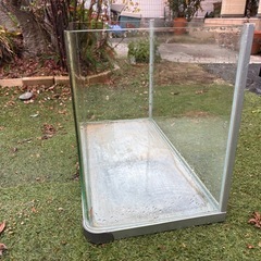 60センチ水槽の画像