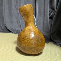 フラダンス　イプの画像