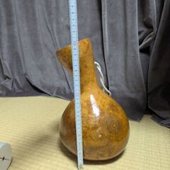 フラダンス　イプの画像