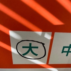 小原紅みかん1箱の画像