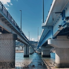 心理学モニター募集🌱