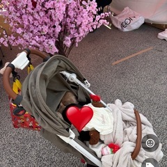 A型ベビーカー　リッチェル　新生児からOKの画像