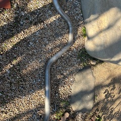 ハイラックス　純正マフラー  GUN125の画像