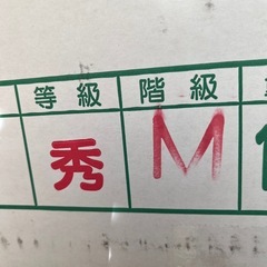 熊本県産みかんLサイズ1箱10キロの画像