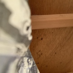 約230㎝　×   約132㎝ の画像