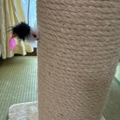 爪とぎポール　猫用の画像