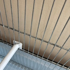 中古　iMac鳥かご（定型文の方お断り）の画像