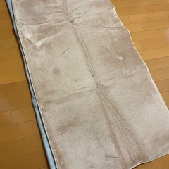 ホットカーペット（カバー付き）の画像