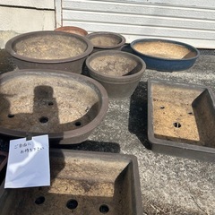 早い者勝ち！！植木鉢の画像