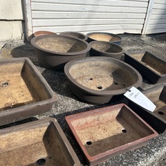 早い者勝ち！！植木鉢の画像