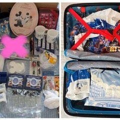 エース　ディズニー“ミッキー＆フレンズ”グラフィカルスーツケースとおまけ付きの画像