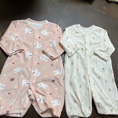 冬春　50〜60センチの画像