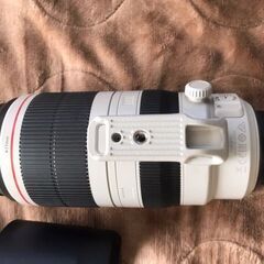 CANON  EF100-400mmの画像