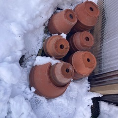 植木鉢　素焼き０円の画像