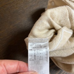 冬　70センチの画像