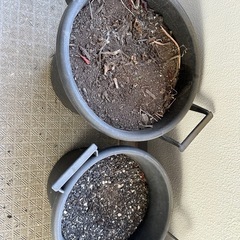【無料/杉並区】プランター・植木鉢 まとめてお譲りします（土入り・現状渡し）の画像