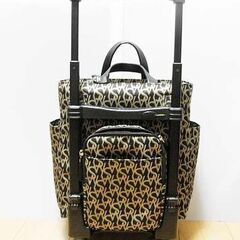 SWANY スワニー キャリーバッグ D-608 エンブレモ M21ブラック 2024.06正規店購入の画像