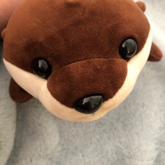 ぬいぐるみ３の画像
