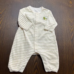 恐竜　冬 60センチの画像