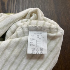 恐竜　冬 60センチの画像