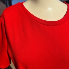 ZARA赤のワンピースの画像