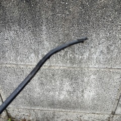 SONY 液晶テレビBRAVIA の画像