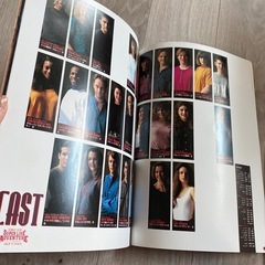 １９９３年　ツムラインパルス　の画像