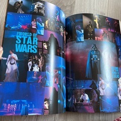 １９９３年　ツムラインパルス　の画像