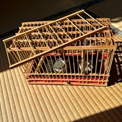 鳥篭の画像