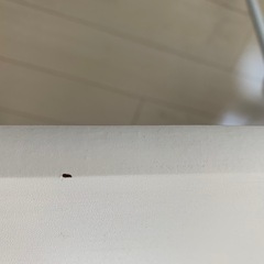 ニトリ　折りたたみテーブルの画像