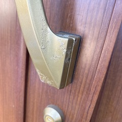 親子玄関ドアの画像