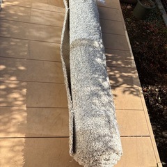 IKEAの絨毯の画像