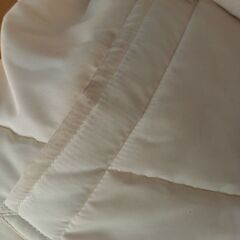 POLOダウンの画像