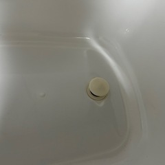 沐浴用　シンク型ベビーバスの画像