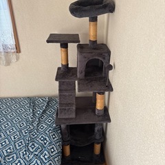 キャットタワーの画像