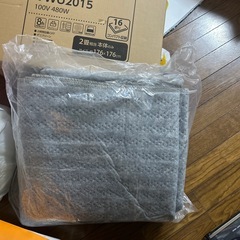 電気入らないカーペットの画像