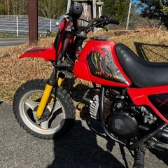  YAMAHA PW
-50の画像
