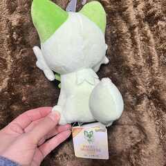 【無料！】クレーンゲーム品　ぬいぐるみ ポケモンの画像