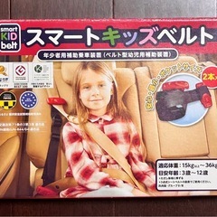 ［111］【中古品】スマートキッズベルト  2本セットの画像