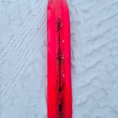 スノーモービル　スキースキンズ　PZ480の画像