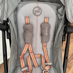 サイベックス　リベル　ラバグレーの画像