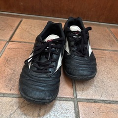 モレリア　トレーニングシューズの画像