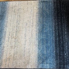 アクセントラグの画像