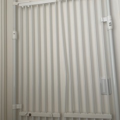 のぼれニャンの画像