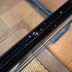 爬虫類　ケージ　ゲージ　フトアゴ　の画像